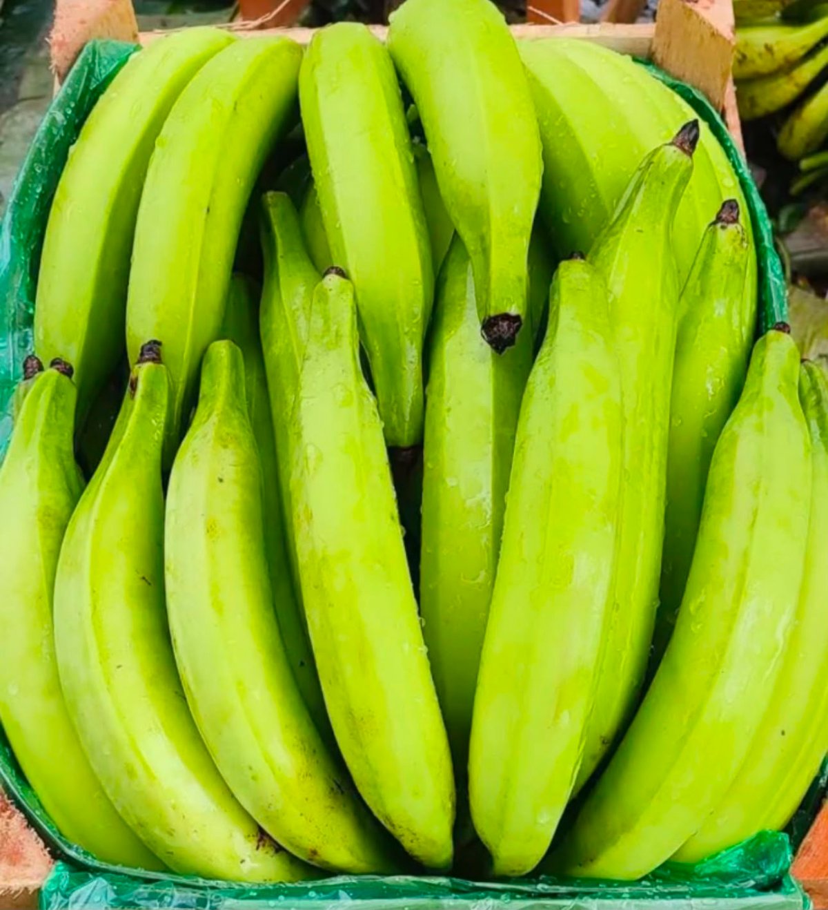 Caixa de banana maçã selecionada