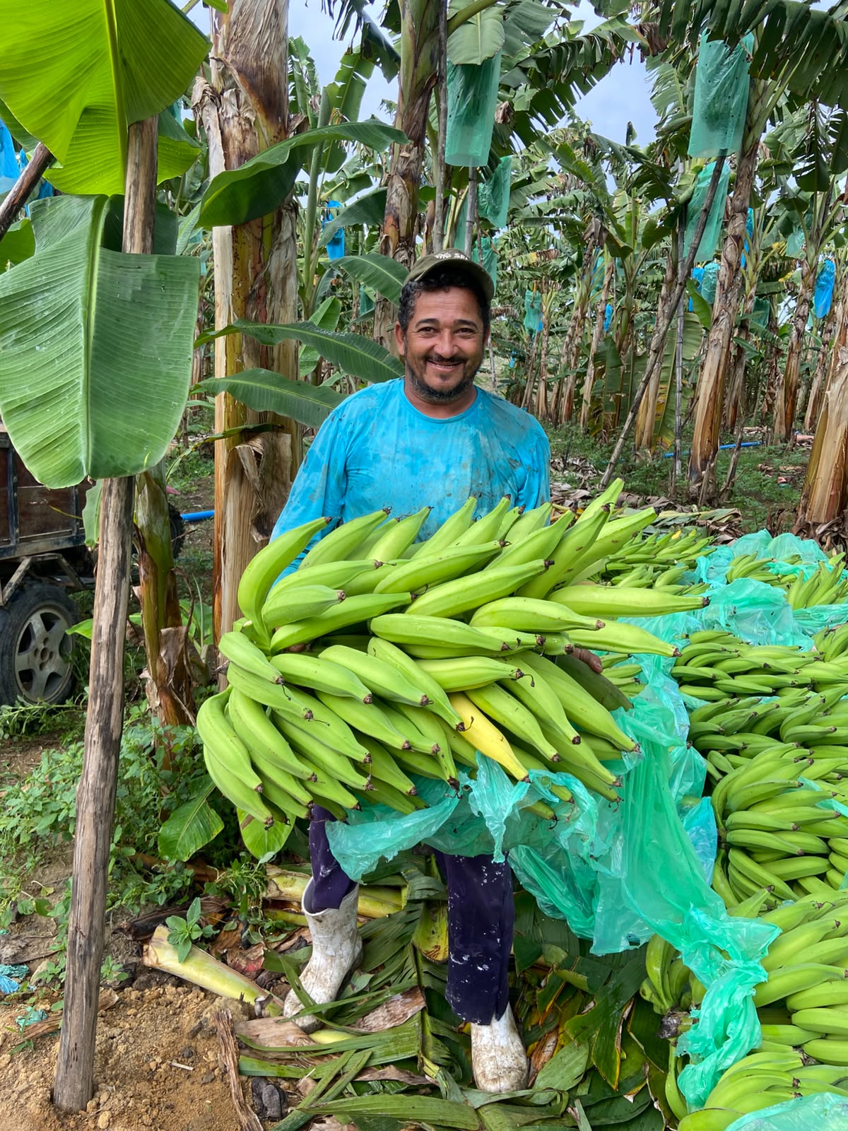 Produtor parceiro da RR Bananas segurando um cacho de bananas